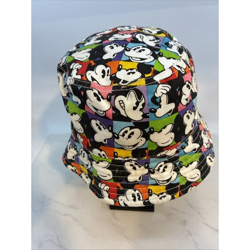 Disney parks hat